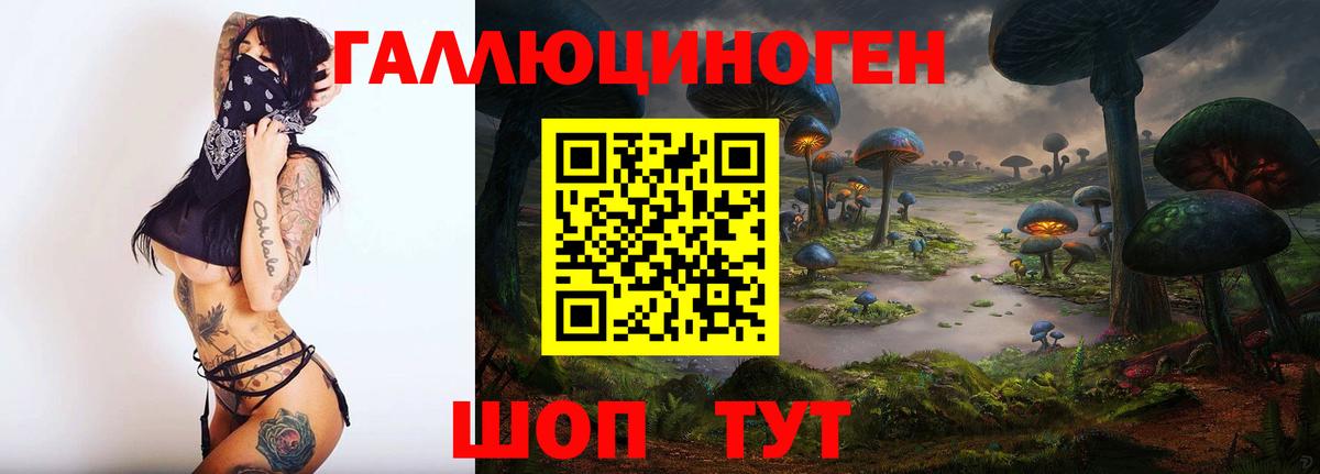 Тимашёвск  Псилоцибиновые грибы мухоморы  Вход с VPN 